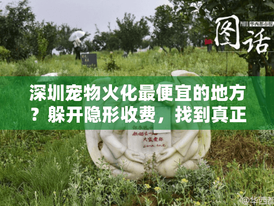 深圳宠物火化最便宜的地方？躲开隐形收费，找到真正实惠的实战秘诀！