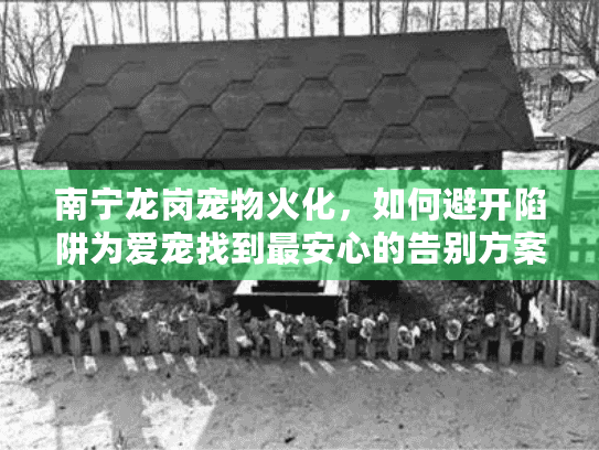 南宁龙岗宠物火化，如何避开陷阱为爱宠找到最安心的告别方案？