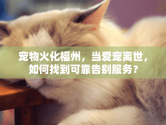 宠物火化福州，当爱宠离世，如何找到可靠告别服务？