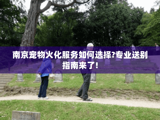 南京宠物火化服务如何选择?专业送别指南来了!
