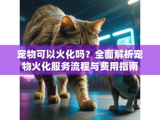 宠物可以火化吗？全面解析宠物火化服务流程与费用指南