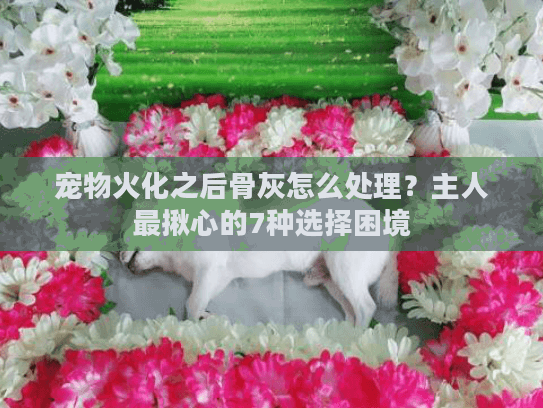宠物火化之后骨灰怎么处理？主人最揪心的7种选择困境