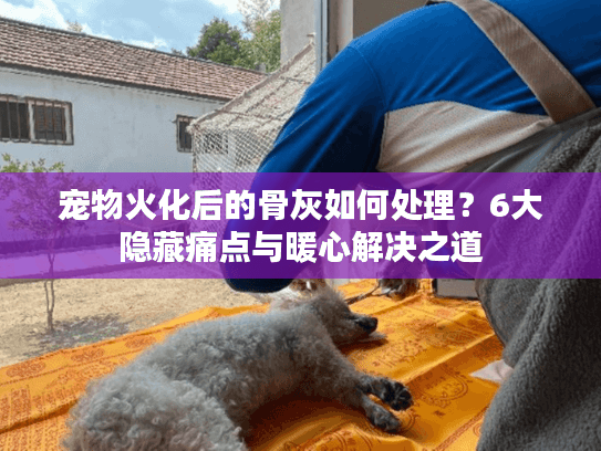 宠物火化后的骨灰如何处理？6大隐藏痛点与暖心解决之道