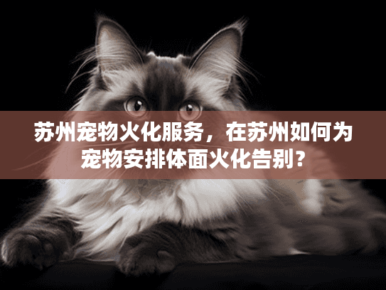 苏州宠物火化服务，在苏州如何为宠物安排体面火化告别？