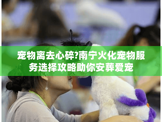 宠物离去心碎?南宁火化宠物服务选择攻略助你安葬爱宠