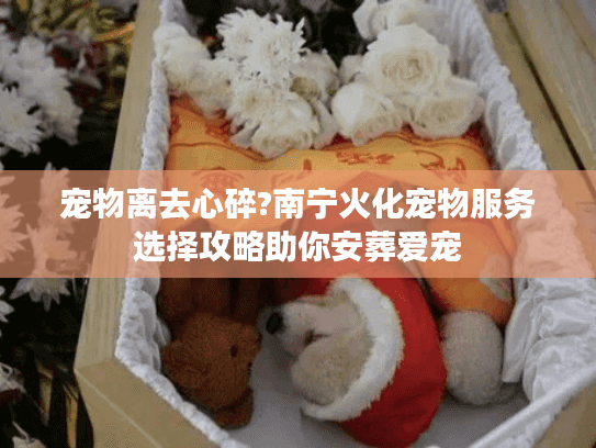 宠物离去心碎?南宁火化宠物服务选择攻略助你安葬爱宠