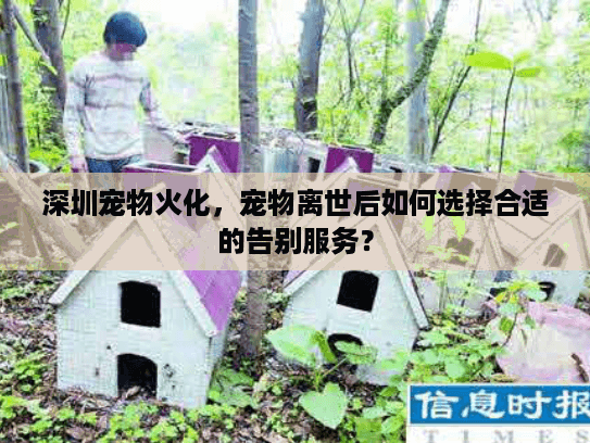 深圳宠物火化，宠物离世后如何选择合适的告别服务？