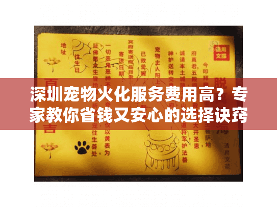 深圳宠物火化服务费用高？专家教你省钱又安心的选择诀窍