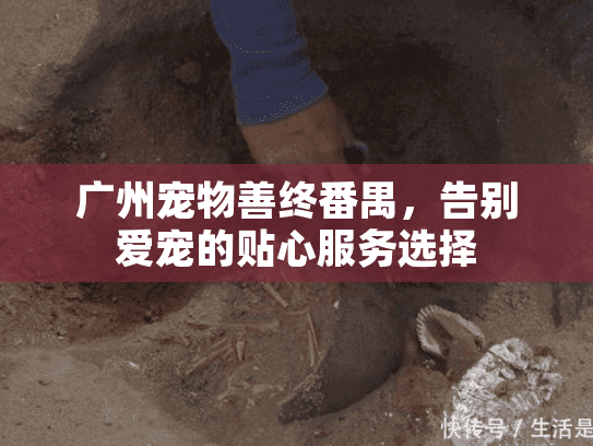 广州宠物善终番禺，告别爱宠的贴心服务选择