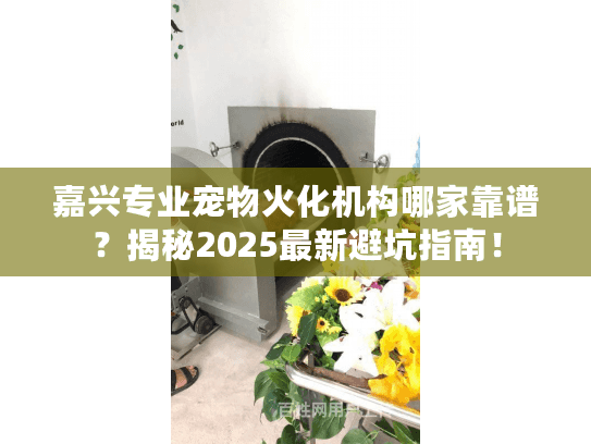 嘉兴专业宠物火化机构哪家靠谱？揭秘2025最新避坑指南！