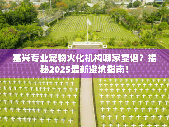 嘉兴专业宠物火化机构哪家靠谱？揭秘2025最新避坑指南！