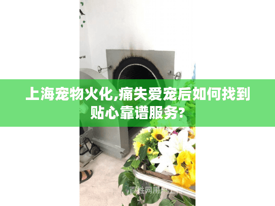 上海宠物火化,痛失爱宠后如何找到贴心靠谱服务?