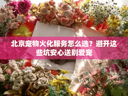 北京宠物火化服务怎么选?避开这些坑安心送别爱宠 北京宠物火化服务怎么选?避开这些坑安心送别爱宠