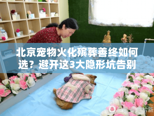 北京宠物火化殡葬善终如何选？避开这3大隐形坑告别遗憾