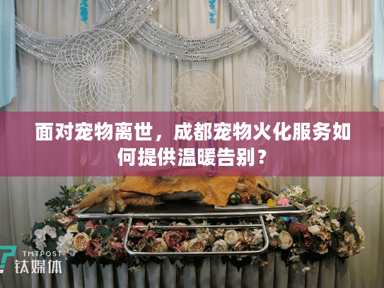 面对宠物离世，成都宠物火化服务如何提供温暖告别？