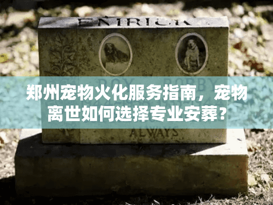 郑州宠物火化服务指南，宠物离世如何选择专业安葬？
