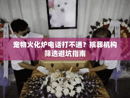 宠物火化炉电话打不通？殡葬机构筛选避坑指南