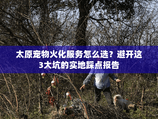 太原宠物火化服务怎么选？避开这3大坑的实地踩点报告
