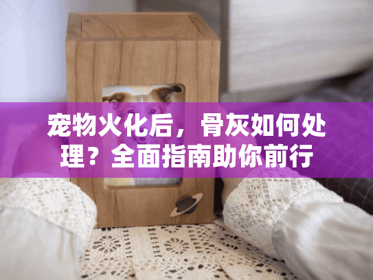 宠物火化后，骨灰如何处理？全面指南助你前行