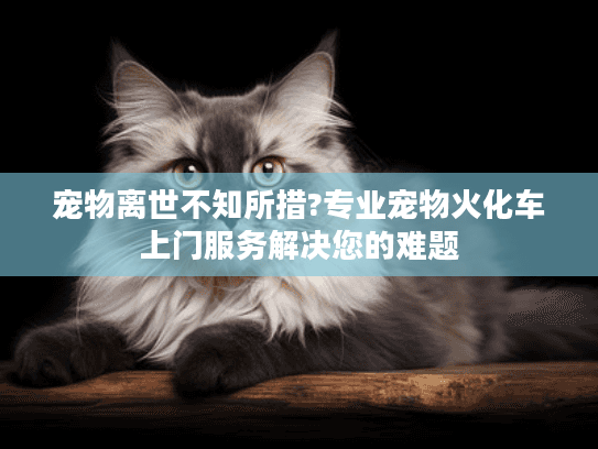 宠物离世不知所措?专业宠物火化车上门服务解决您的难题