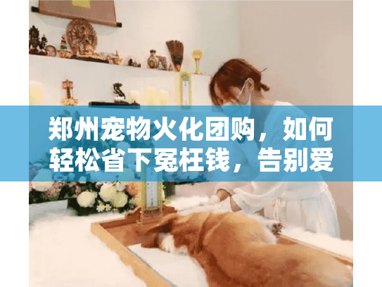 郑州宠物火化团购，如何轻松省下冤枉钱，告别爱宠不心碎？