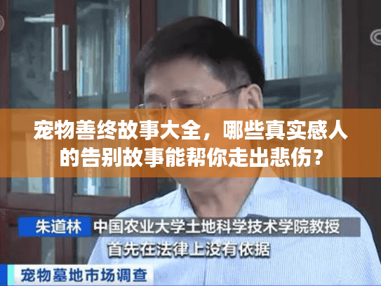 宠物善终故事大全，哪些真实感人的告别故事能帮你走出悲伤？