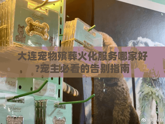 大连宠物殡葬火化服务哪家好?宠主必看的告别指南