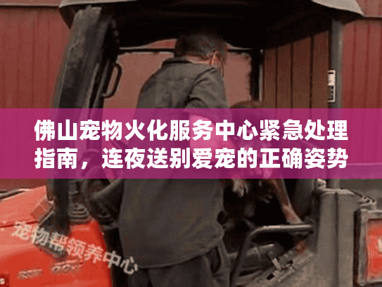 佛山宠物火化服务中心紧急处理指南，连夜送别爱宠的正确姿势