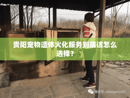 贵阳宠物遗体火化服务到底该怎么选择？