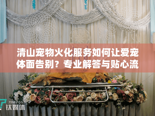 清山宠物火化服务如何让爱宠体面告别？专业解答与贴心流程指南