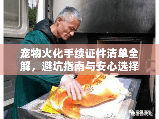 宠物火化手续证件清单全解，避坑指南与安心选择