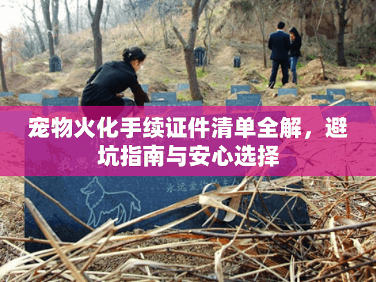 宠物火化手续证件清单全解，避坑指南与安心选择