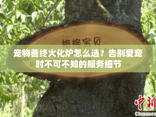 宠物善终火化炉怎么选？告别爱宠时不可不知的服务细节