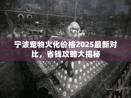 宁波宠物火化价格2025最新对比，省钱攻略大揭秘