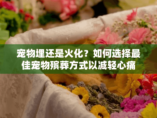 宠物埋还是火化？如何选择最佳宠物殡葬方式以减轻心痛