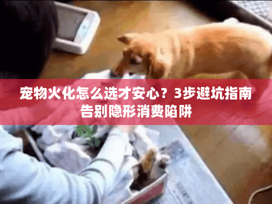 宠物火化怎么选才安心？3步避坑指南告别隐形消费陷阱
