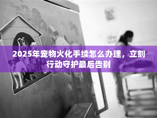 2025年宠物火化手续怎么办理，立刻行动守护最后告别