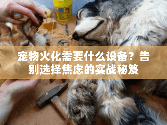 宠物火化需要什么设备?告别选择焦虑的实战秘笈 宠物火化需要什么设备?告别选择焦虑的实战秘笈