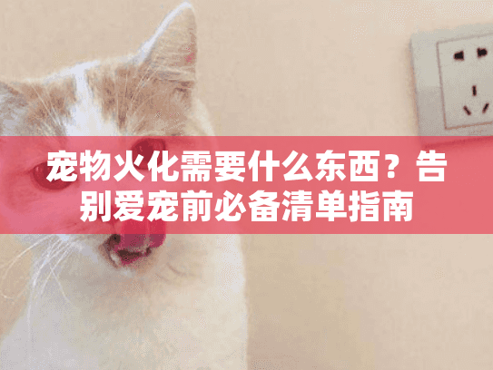 宠物火化需要什么东西？告别爱宠前必备清单指南