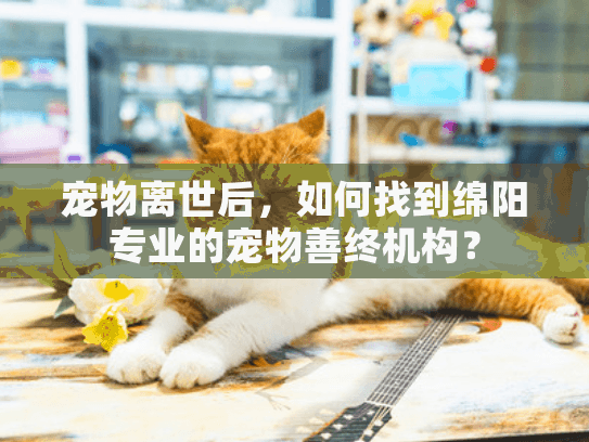 宠物离世后，如何找到绵阳专业的宠物善终机构？
