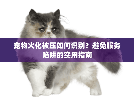 宠物火化被压如何识别？避免服务陷阱的实用指南
