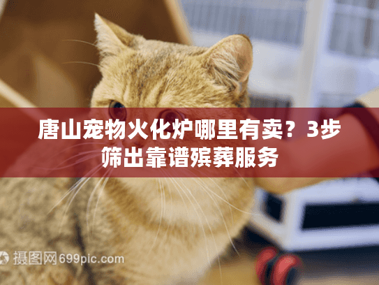 唐山宠物火化炉哪里有卖？3步筛出靠谱殡葬服务