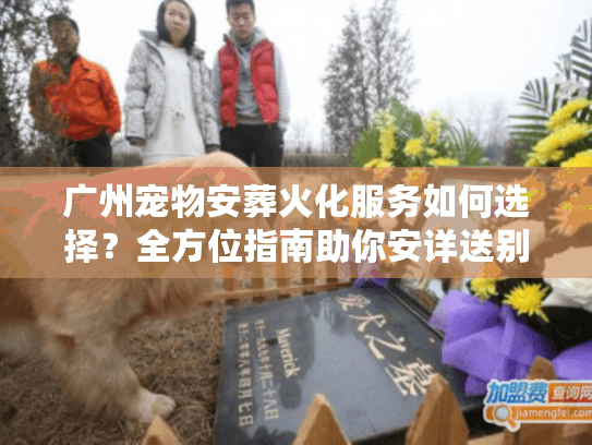 广州宠物安葬火化服务如何选择？全方位指南助你安详送别爱宠