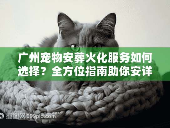 广州宠物安葬火化服务如何选择？全方位指南助你安详送别爱宠