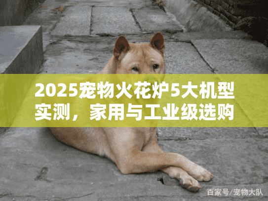 2025宠物火花炉5大机型实测，家用与工业级选购避坑清单