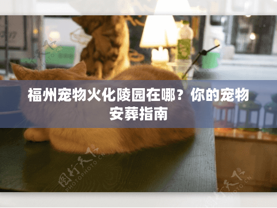 福州宠物火化陵园在哪？你的宠物安葬指南