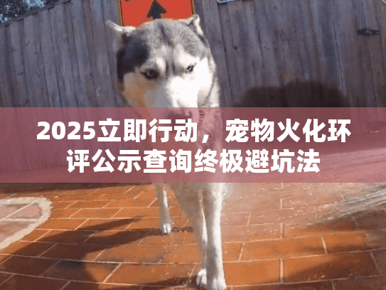 2025立即行动，宠物火化环评公示查询终极避坑法