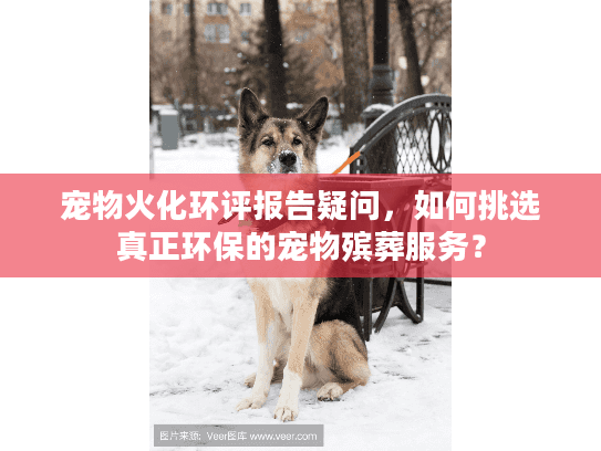 宠物火化环评报告疑问，如何挑选真正环保的宠物殡葬服务？