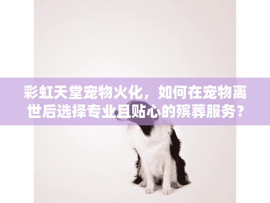 彩虹天堂宠物火化，如何在宠物离世后选择专业且贴心的殡葬服务？