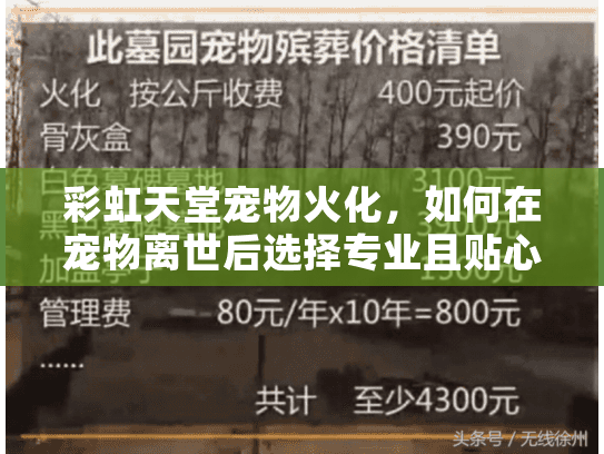 彩虹天堂宠物火化，如何在宠物离世后选择专业且贴心的殡葬服务？